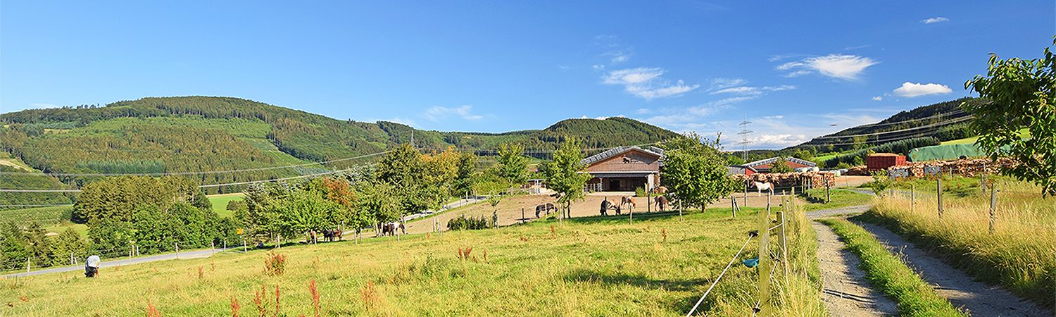 Hof Barenstein Mosebolle