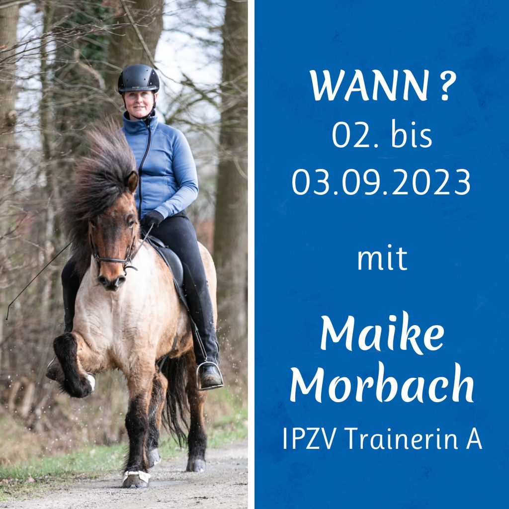 Reitkurs Maike Morbach2
