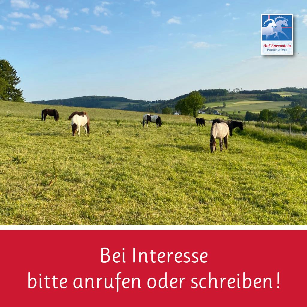 Freie Offenstallplätze Hof Barenstein2