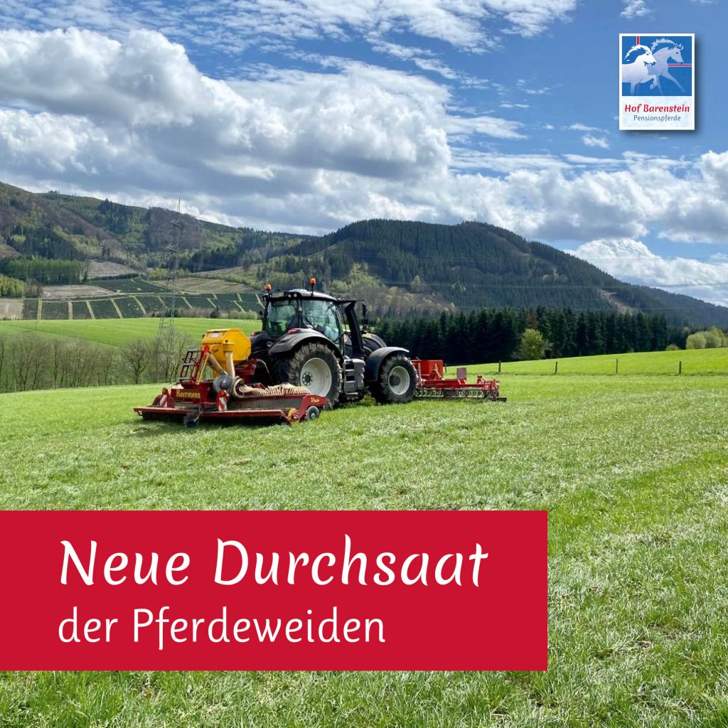 Durchsaat Pferdeweiden