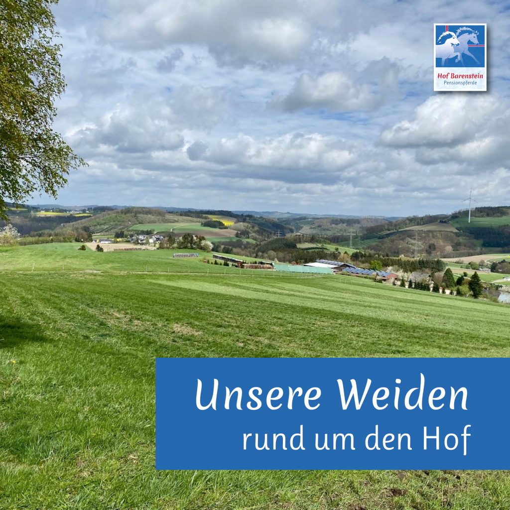 Durchsaat Pferdeweiden4
