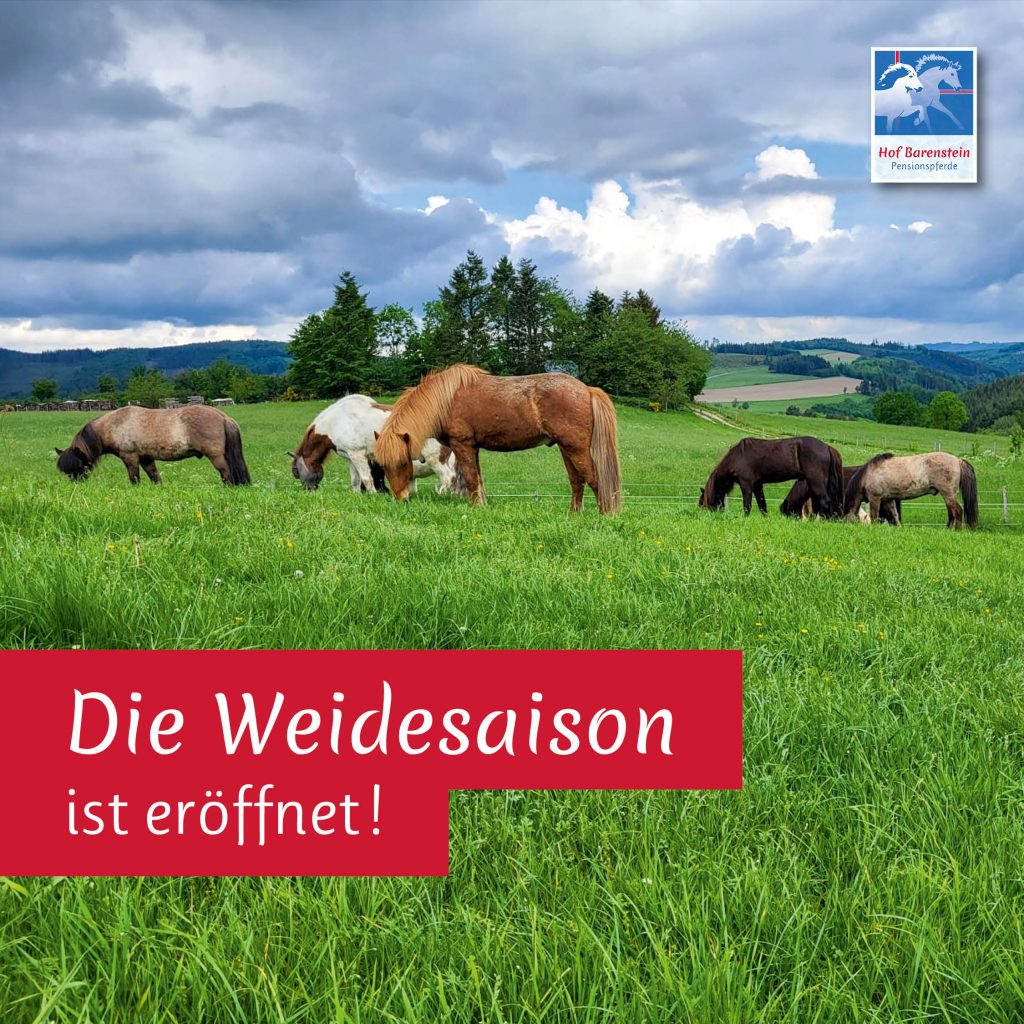 Weidesaison eröffnet