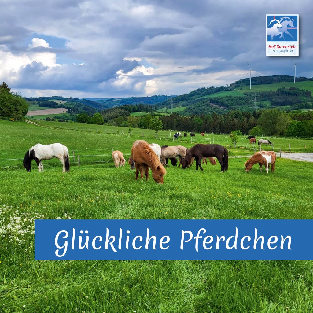 Weidesaison eröffnet3